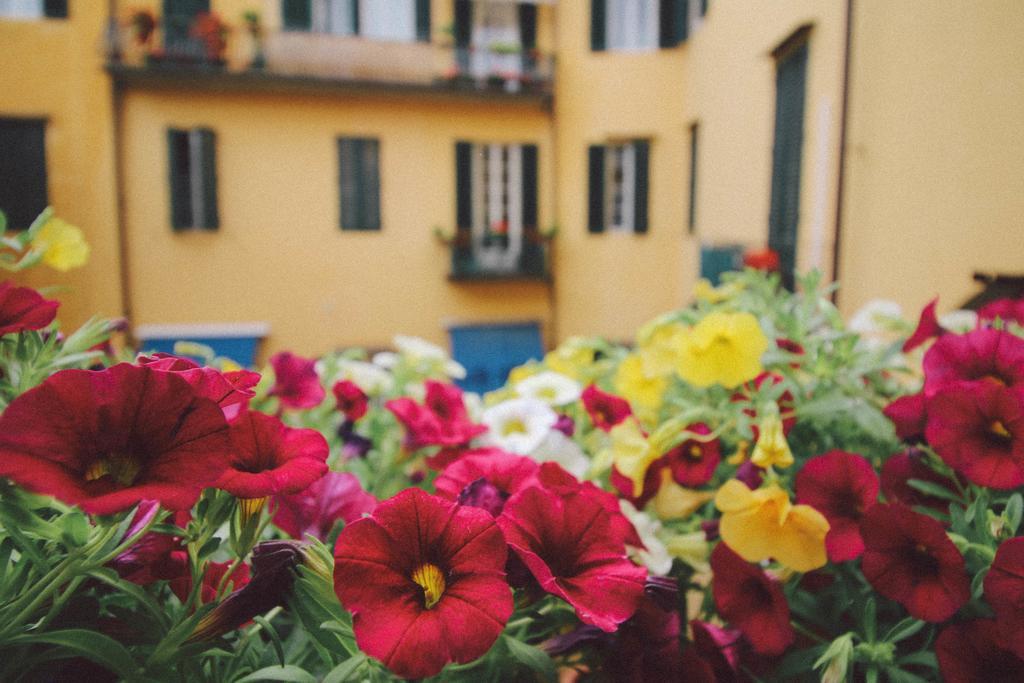 Martindago Bed & Breakfast Firenze Eksteriør bilde